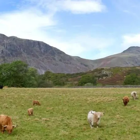 Raceside Farm *
